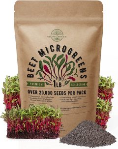 Organo Republic Store Beet Sprouting & Microgreen Seeds