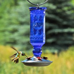 Fleur De Lis Living Harton Glass Hanging Hummingbird Feeder