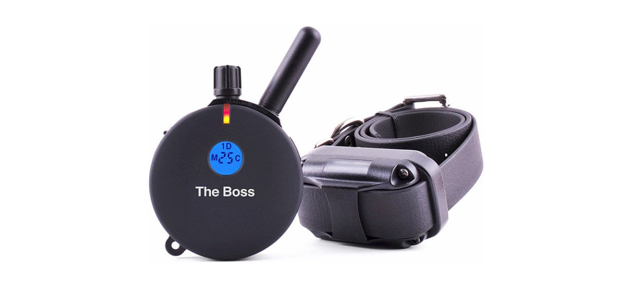 7 Best Shock Collars Sept. 2024 BestReviews