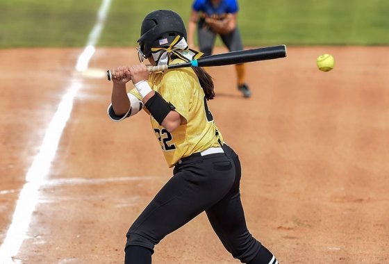 Best softball bat