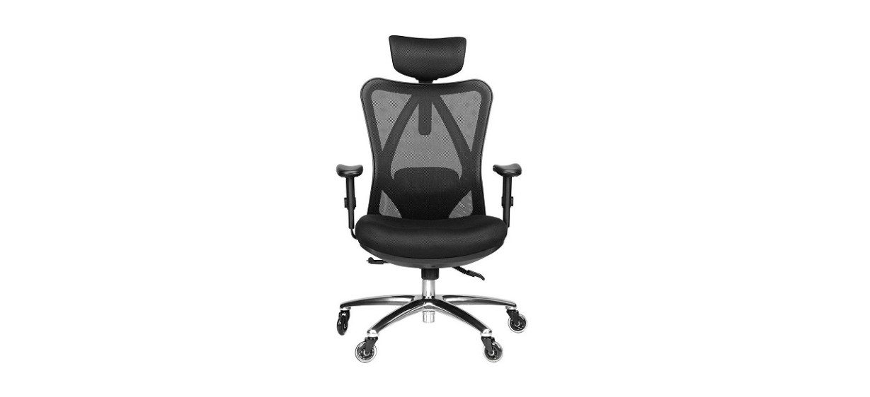 Duramont Ergonomic Office Chair