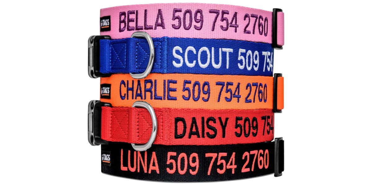 GoTags Personalized Dog Collar