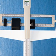 mechanical beam scale2