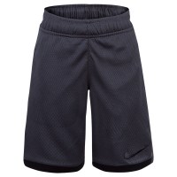 Nike Little Boys' Dri-FIT Trophy Shorts